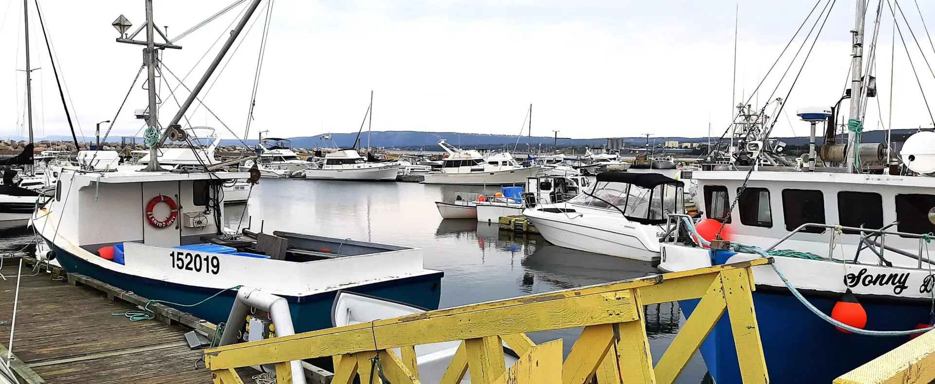 Boats docked at a serene marina with a yellow wooden fence in the foreground.